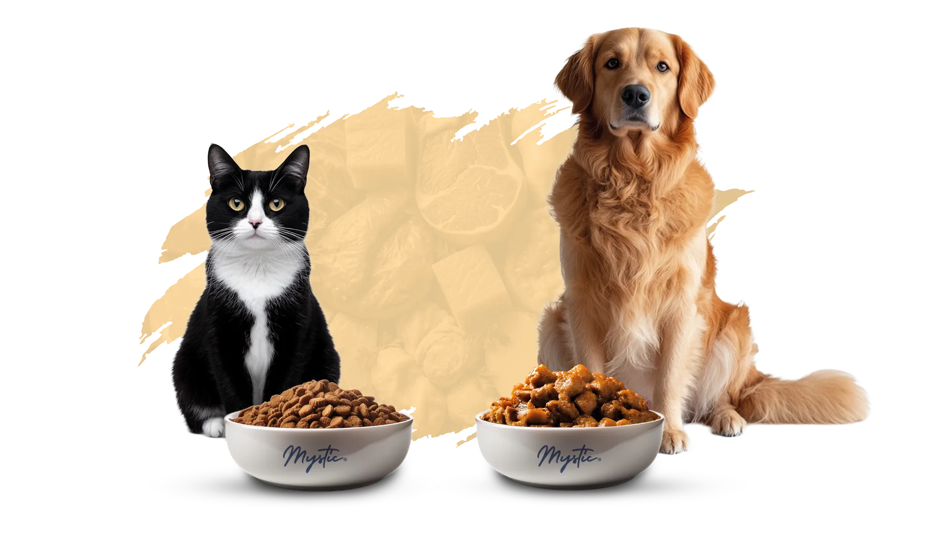 Mystic mamaları ile kedi ve köpek